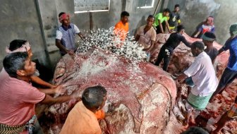 ২ দিনে সাভার ট্যানারিতে চামড়া এসেছে ৫ লাখ ৩০ হাজার